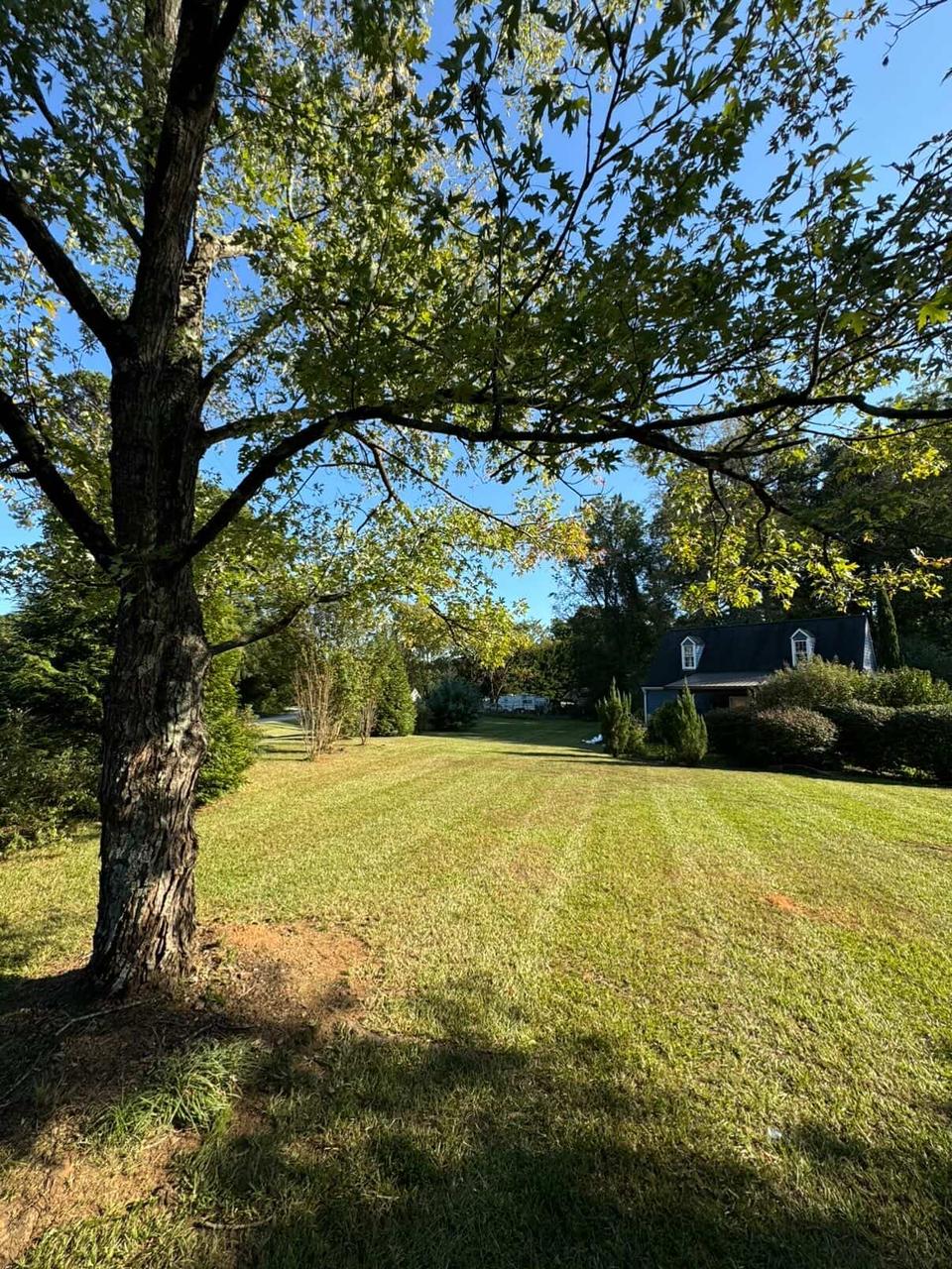 Premium Sod Installation